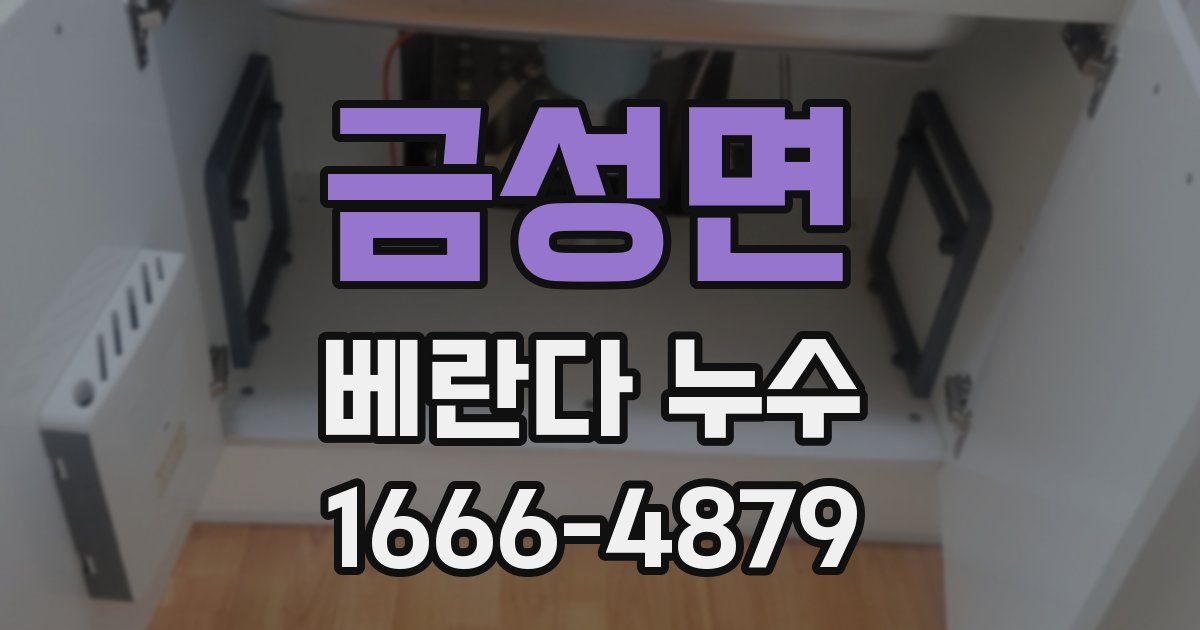 금성면 베란다 누수
