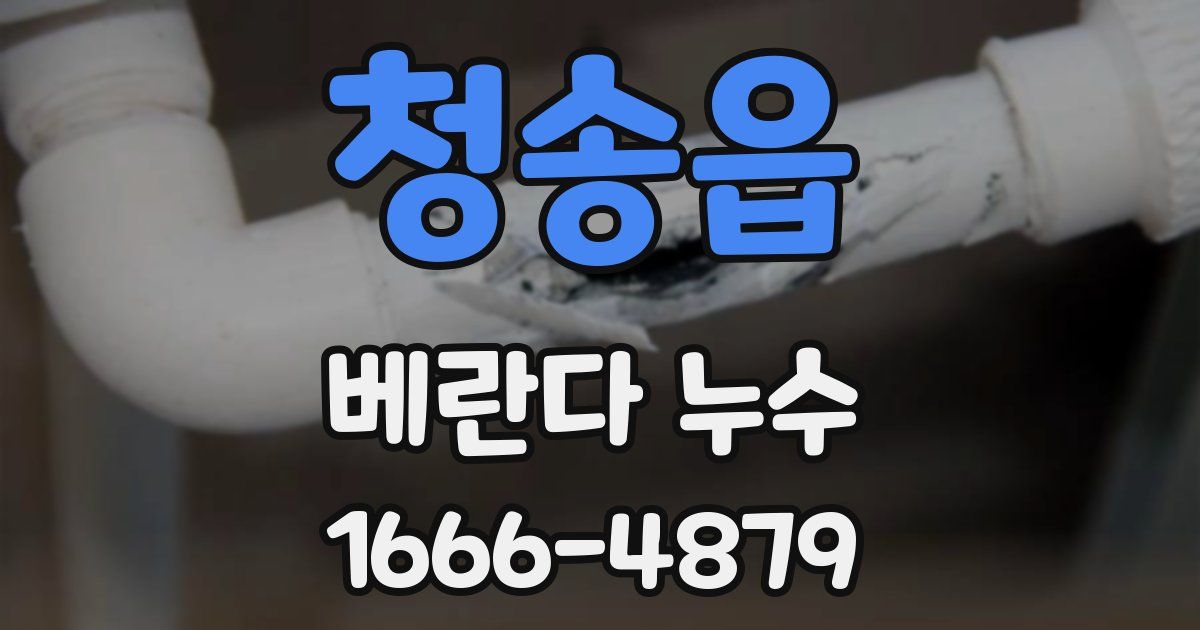 청송읍 베란다 누수