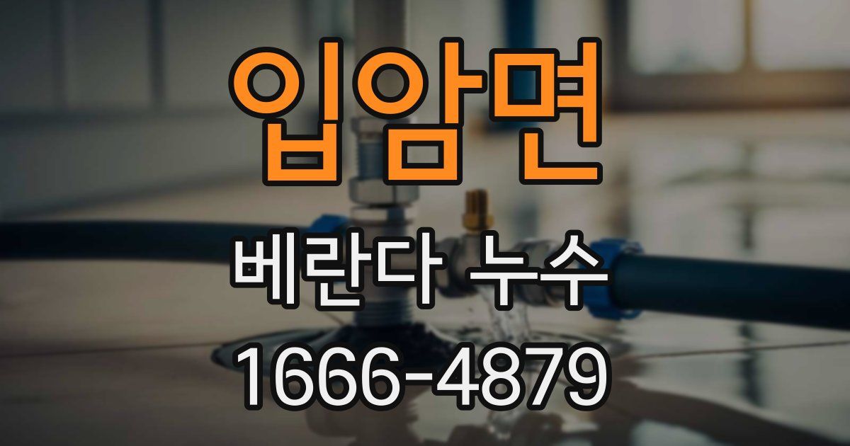 입암면 베란다 누수