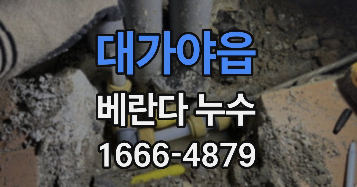 대가야읍 베란다 누수