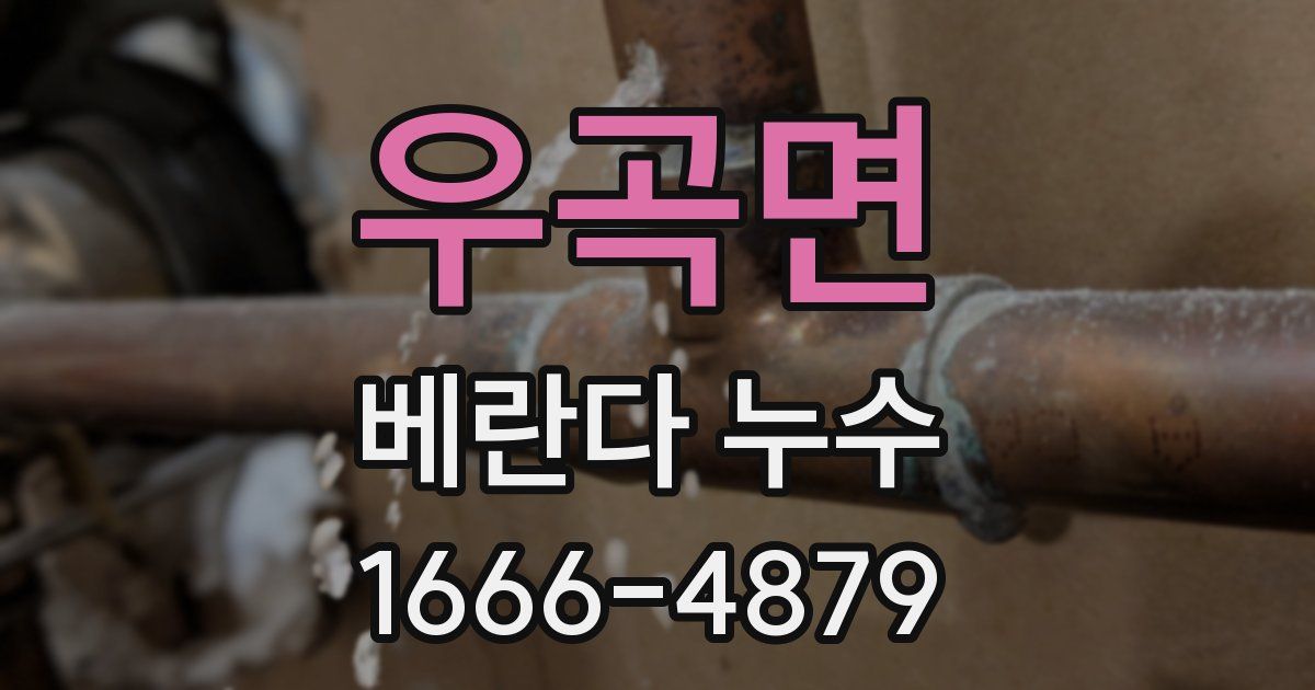 우곡면 베란다 누수
