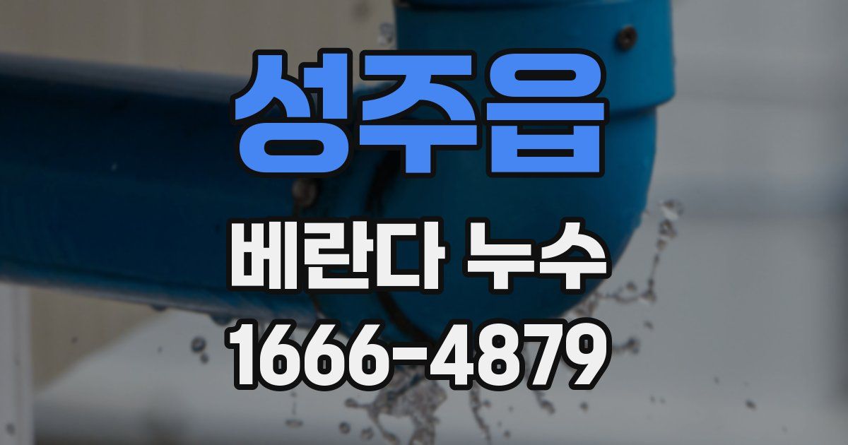 성주읍 베란다 누수