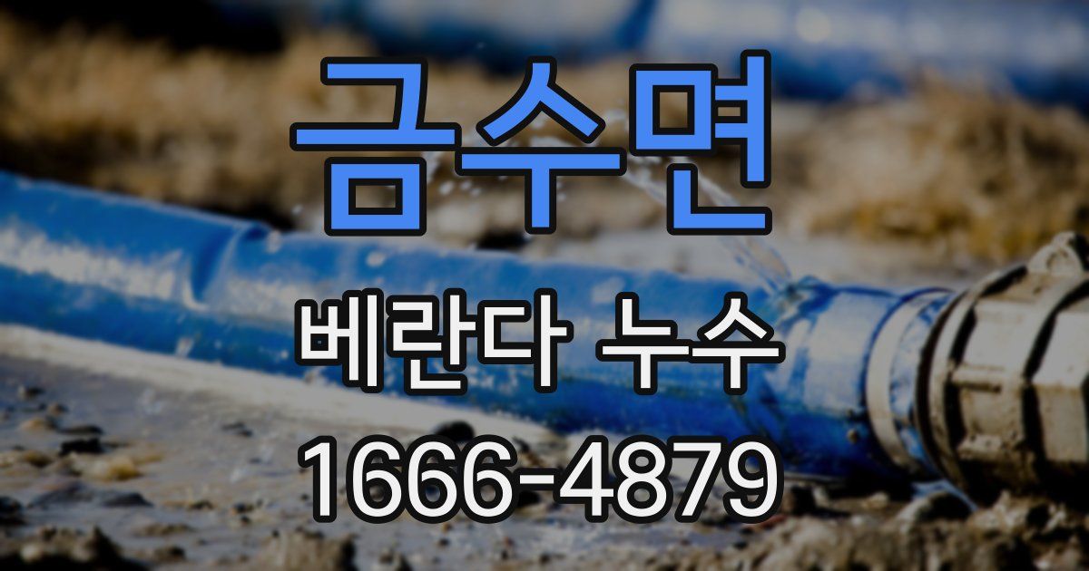 금수면 베란다 누수
