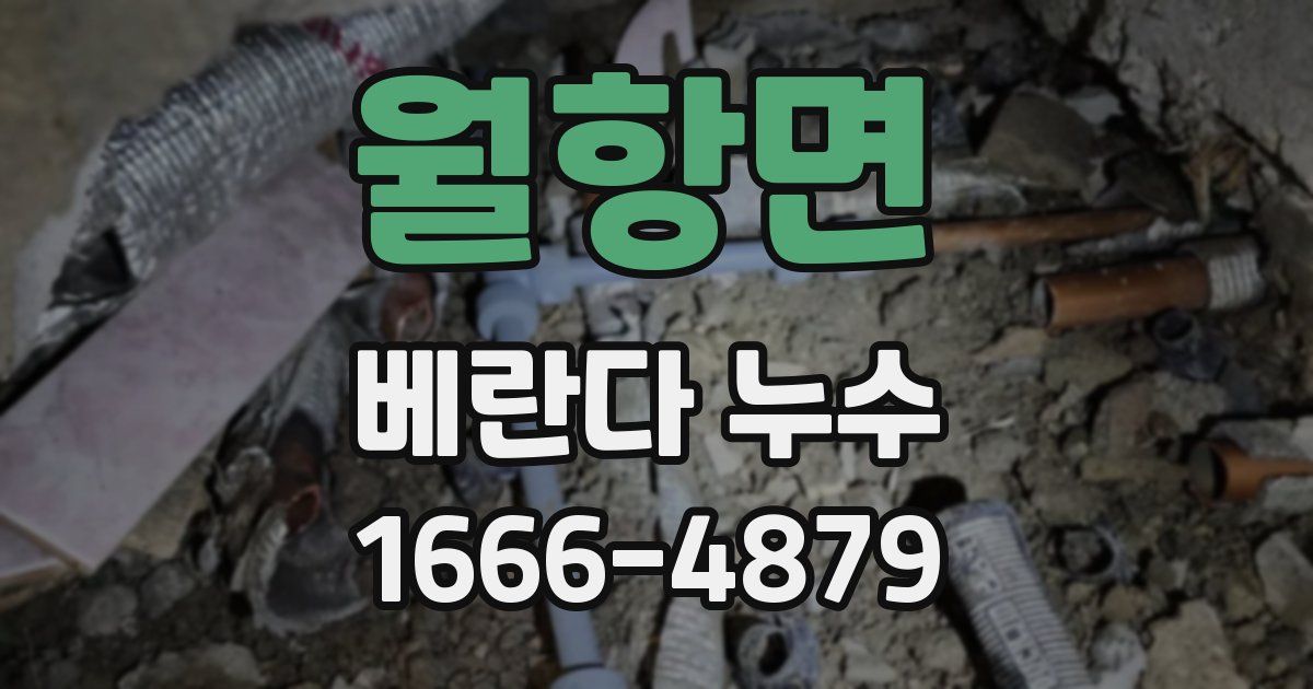 월항면 베란다 누수