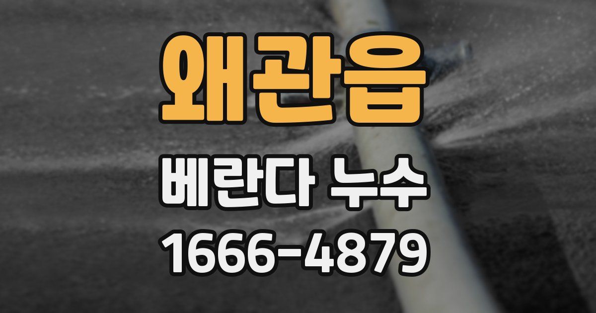 왜관읍 베란다 누수