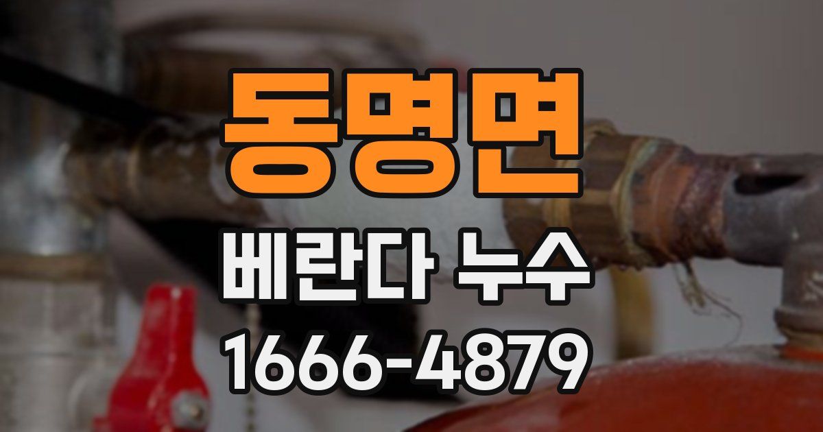 동명면 베란다 누수