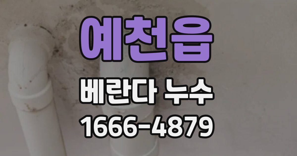 예천읍 베란다 누수
