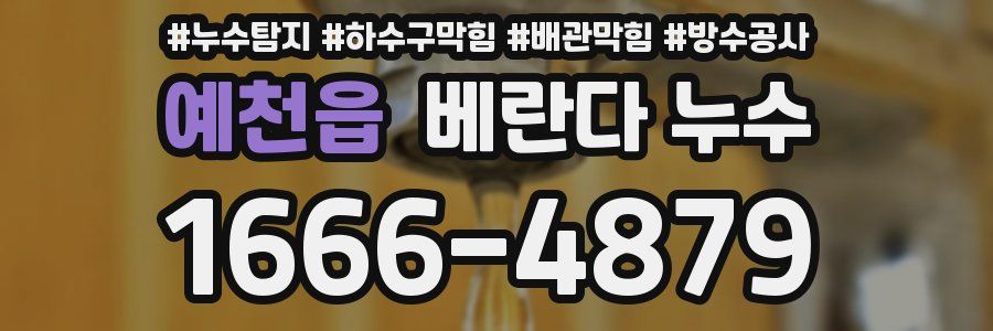 예천읍 베란다 누수