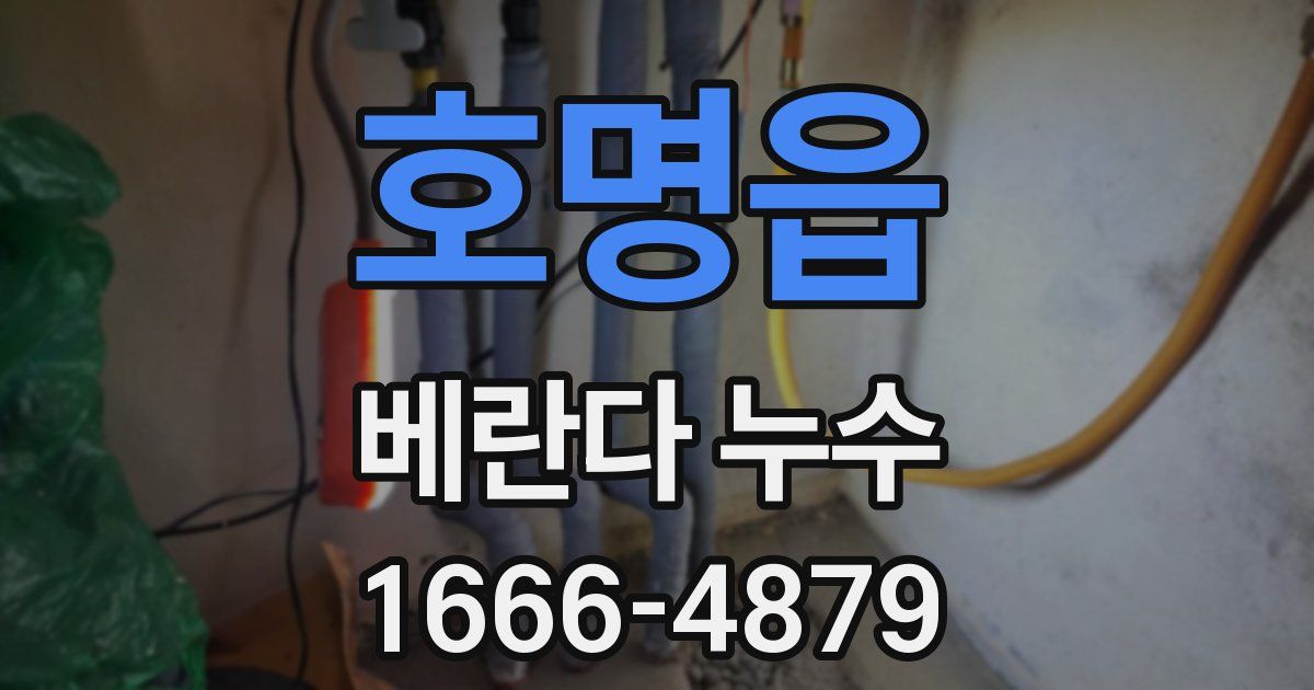 호명읍 베란다 누수