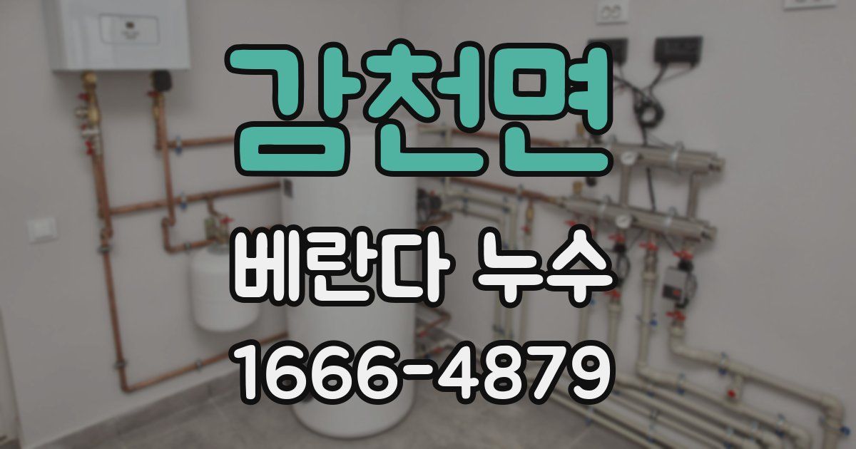 감천면 베란다 누수