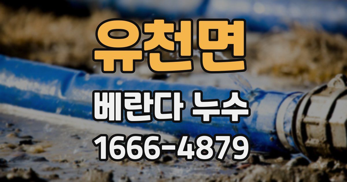 유천면 베란다 누수