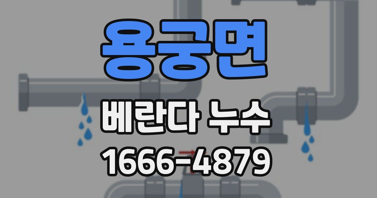 용궁면 베란다 누수