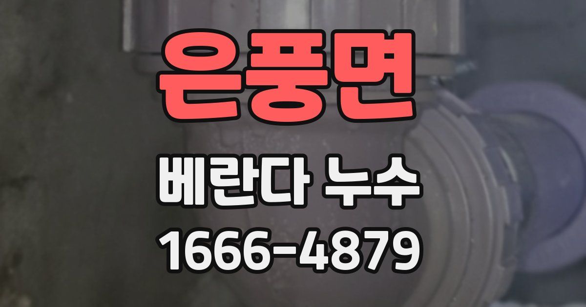 은풍면 베란다 누수