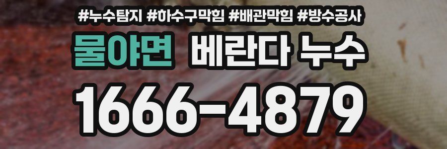 물야면 베란다 누수