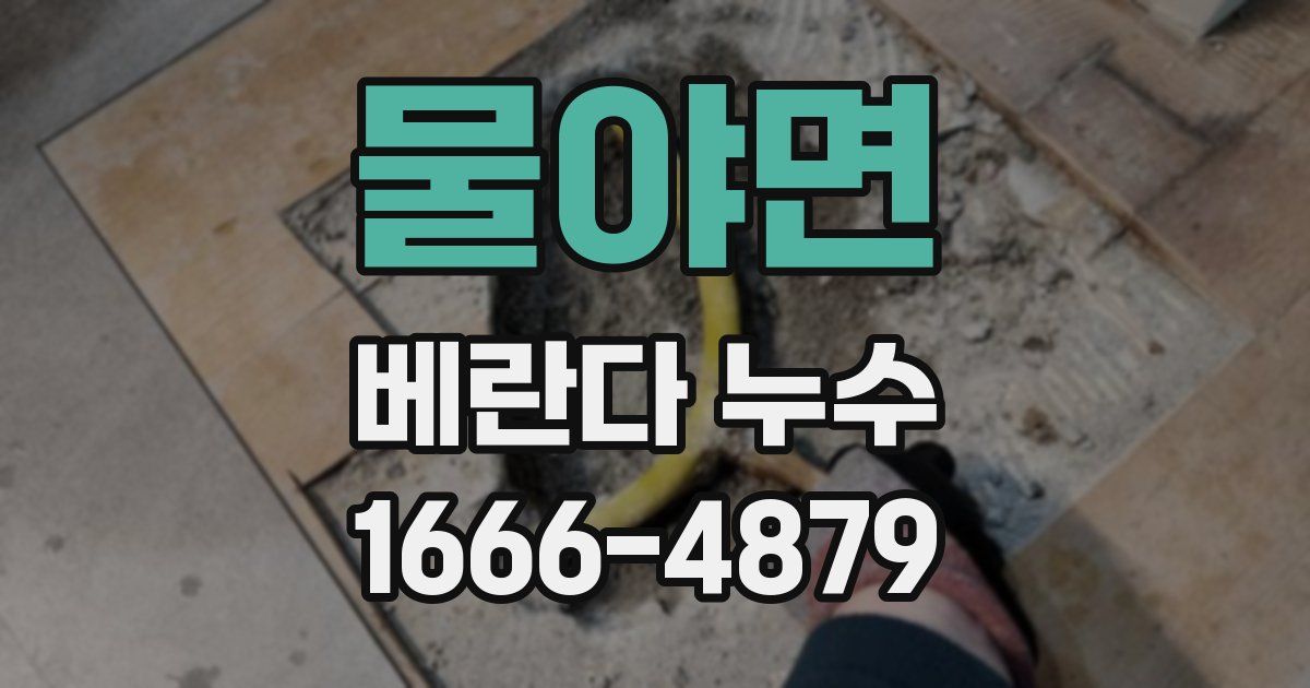 물야면 베란다 누수