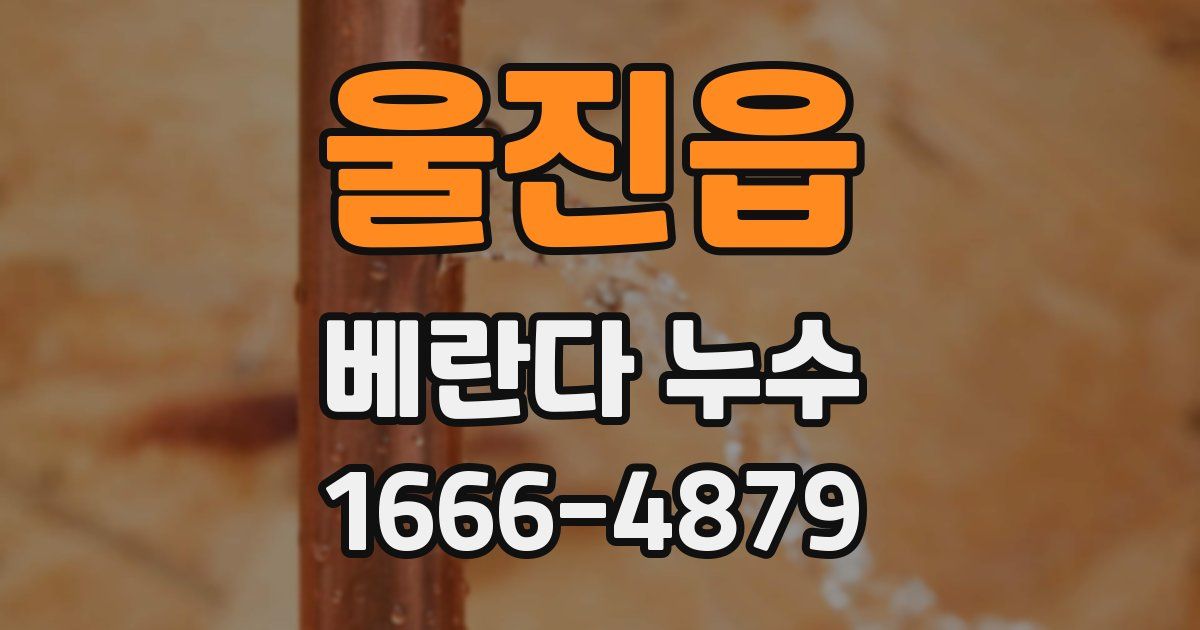 울진읍 베란다 누수