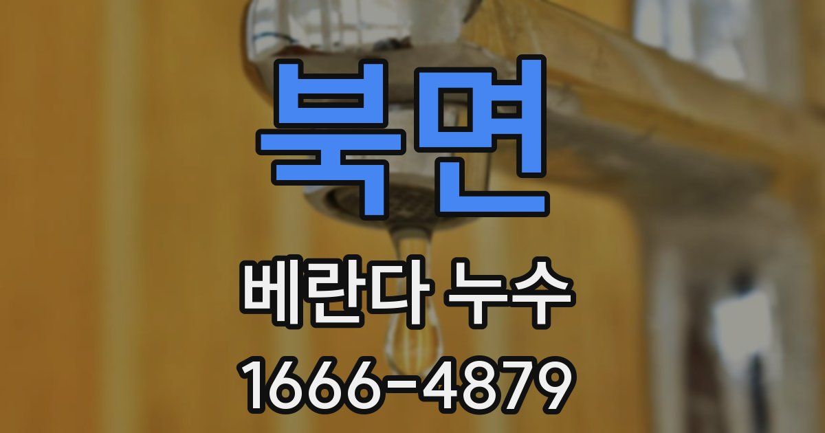 북면 베란다 누수