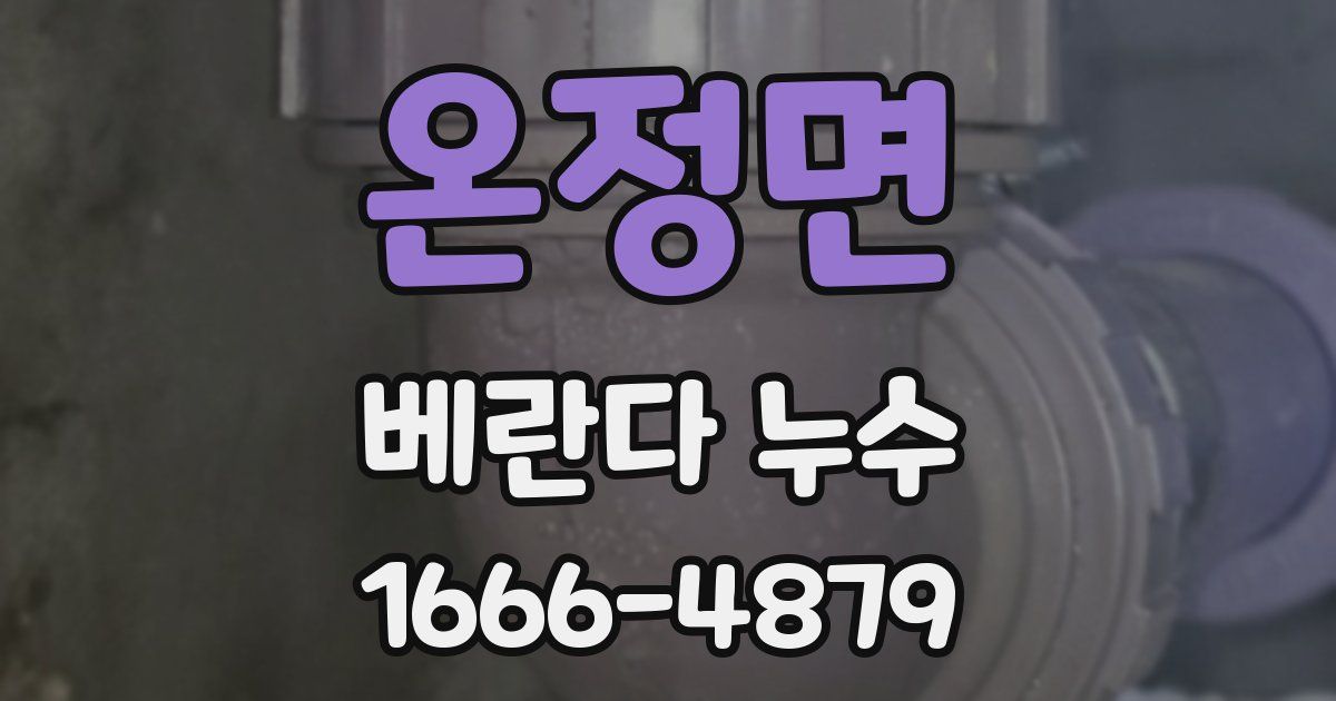 온정면 베란다 누수
