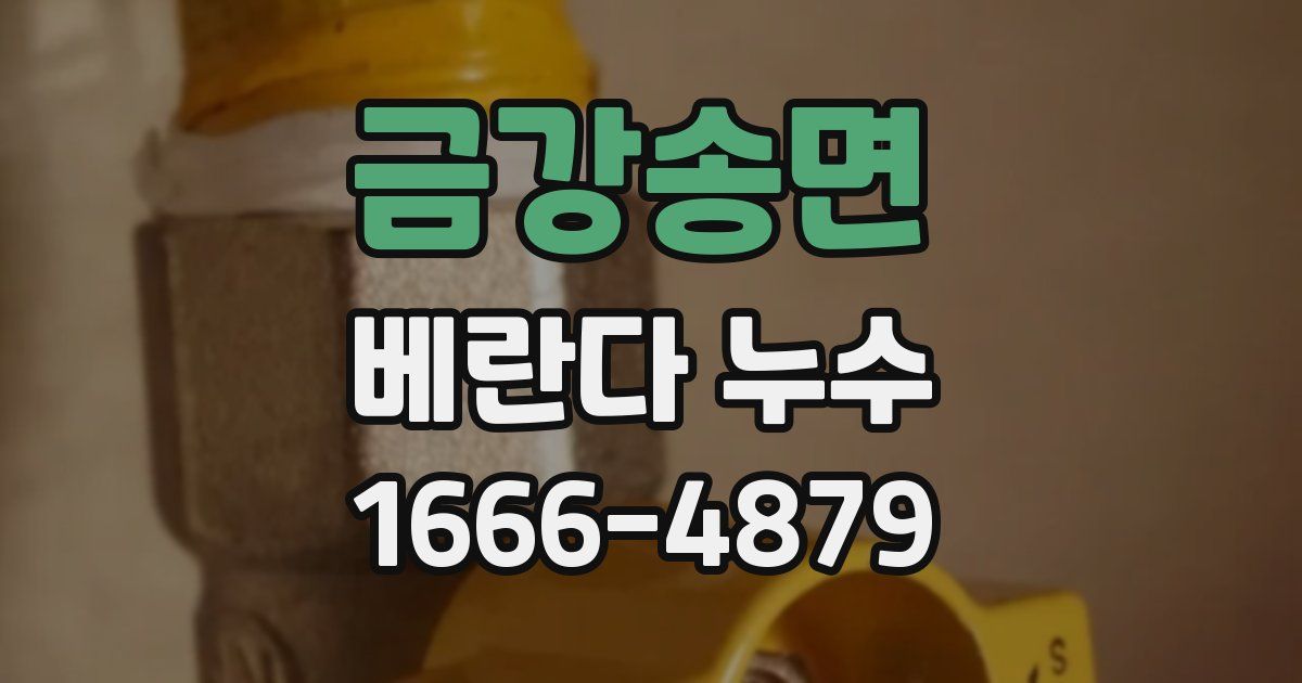 금강송면 베란다 누수