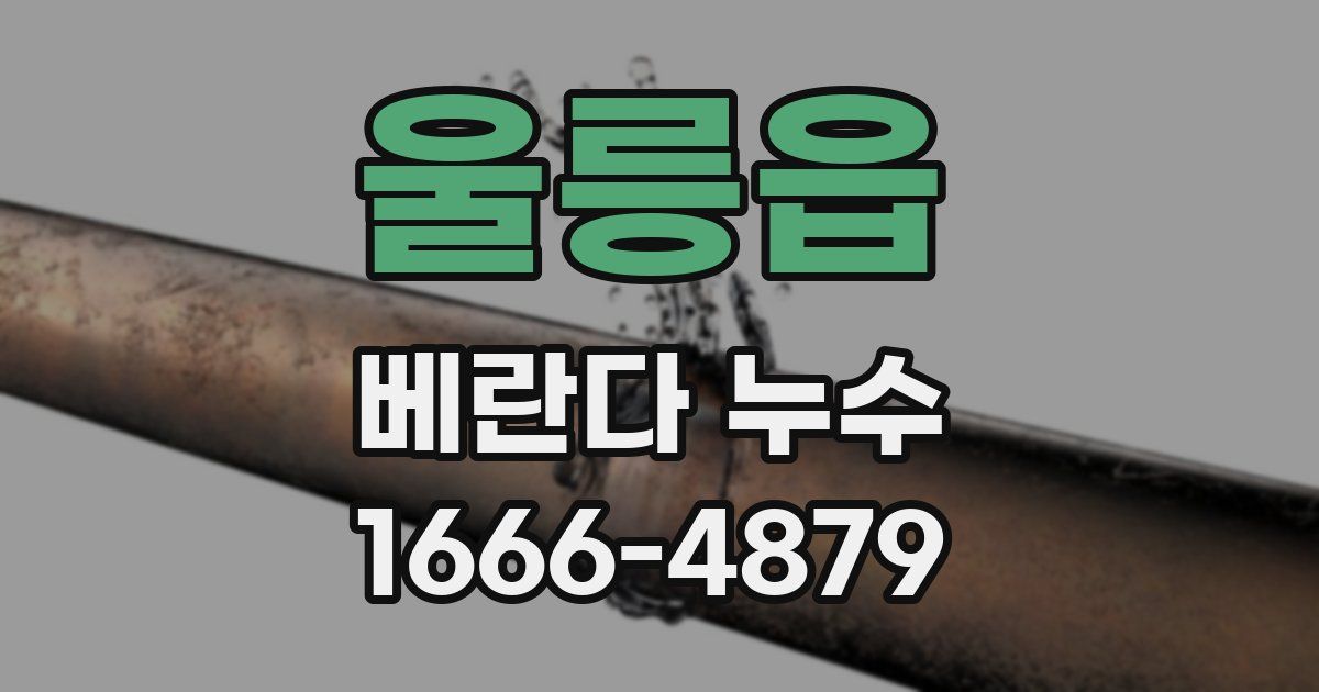 울릉읍 베란다 누수