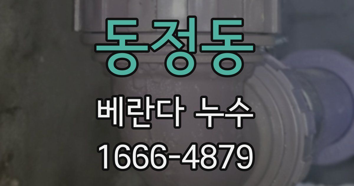 동정동 베란다 누수