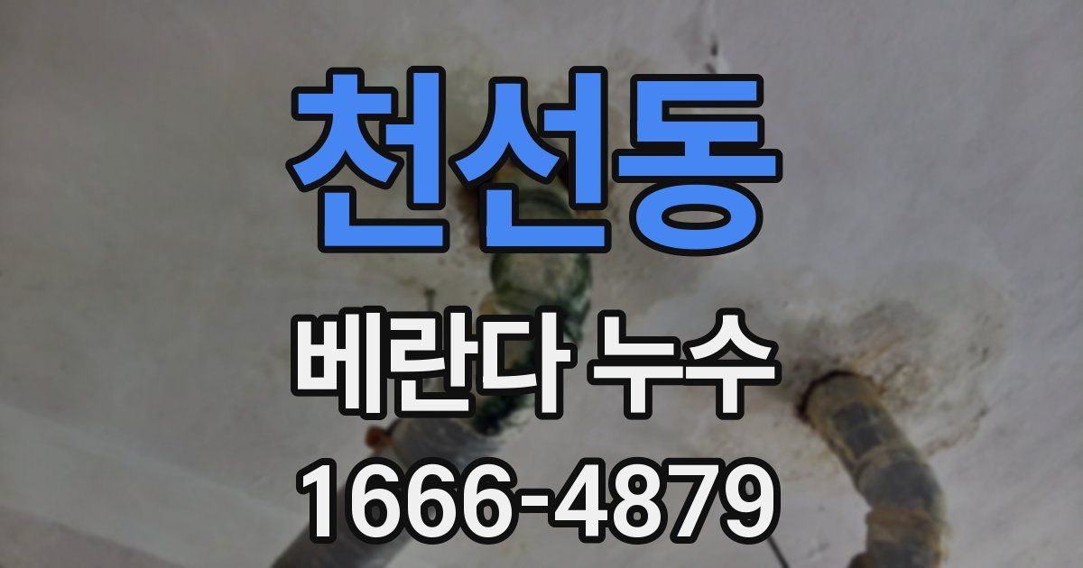 천선동 베란다 누수