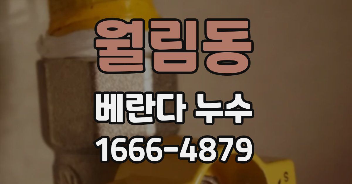 월림동 베란다 누수