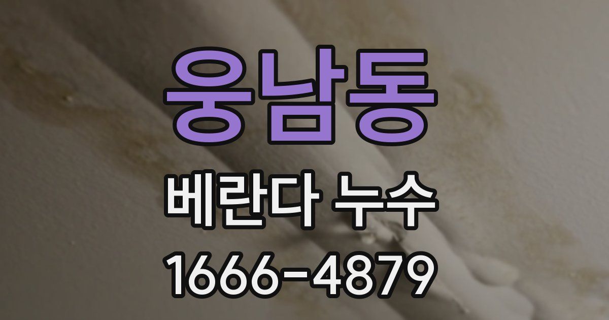 웅남동 베란다 누수