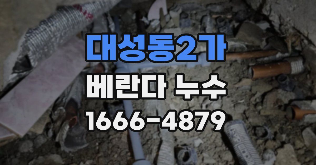 대성동2가 베란다 누수