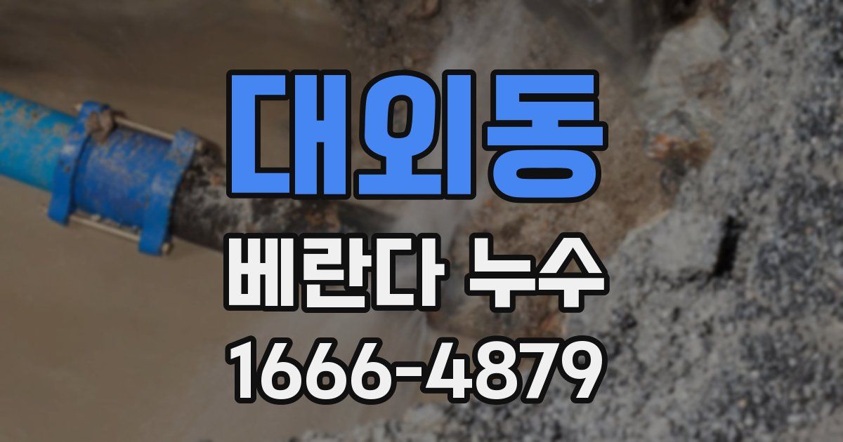 대외동 베란다 누수