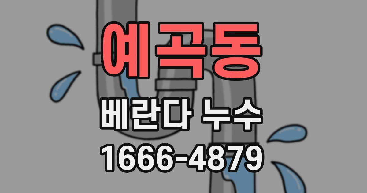 예곡동 베란다 누수