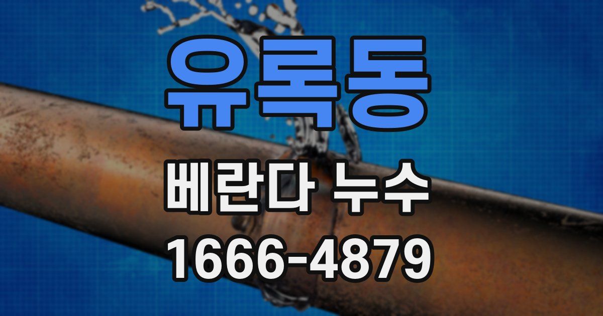 유록동 베란다 누수
