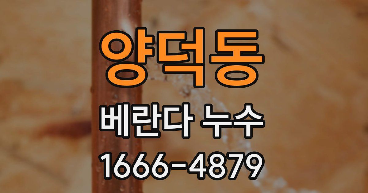 양덕동 베란다 누수