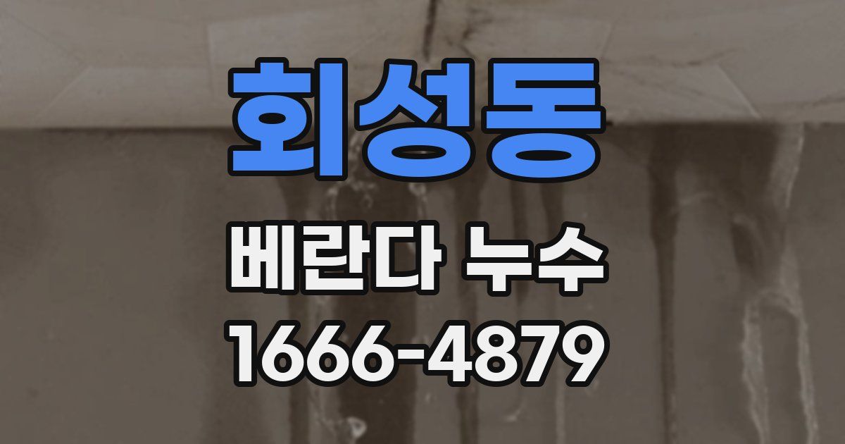 회성동 베란다 누수