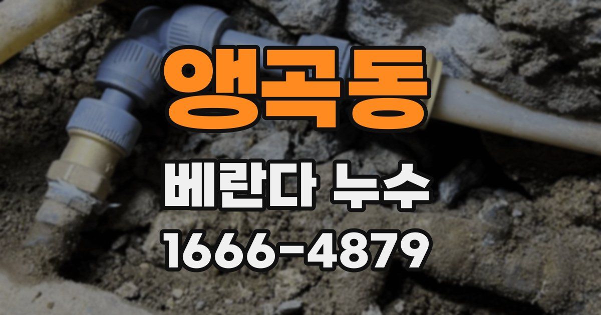 앵곡동 베란다 누수