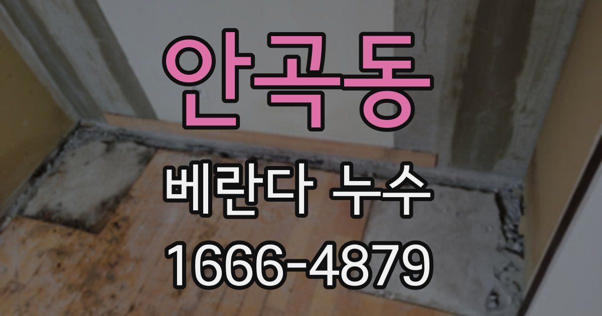 안곡동 베란다 누수