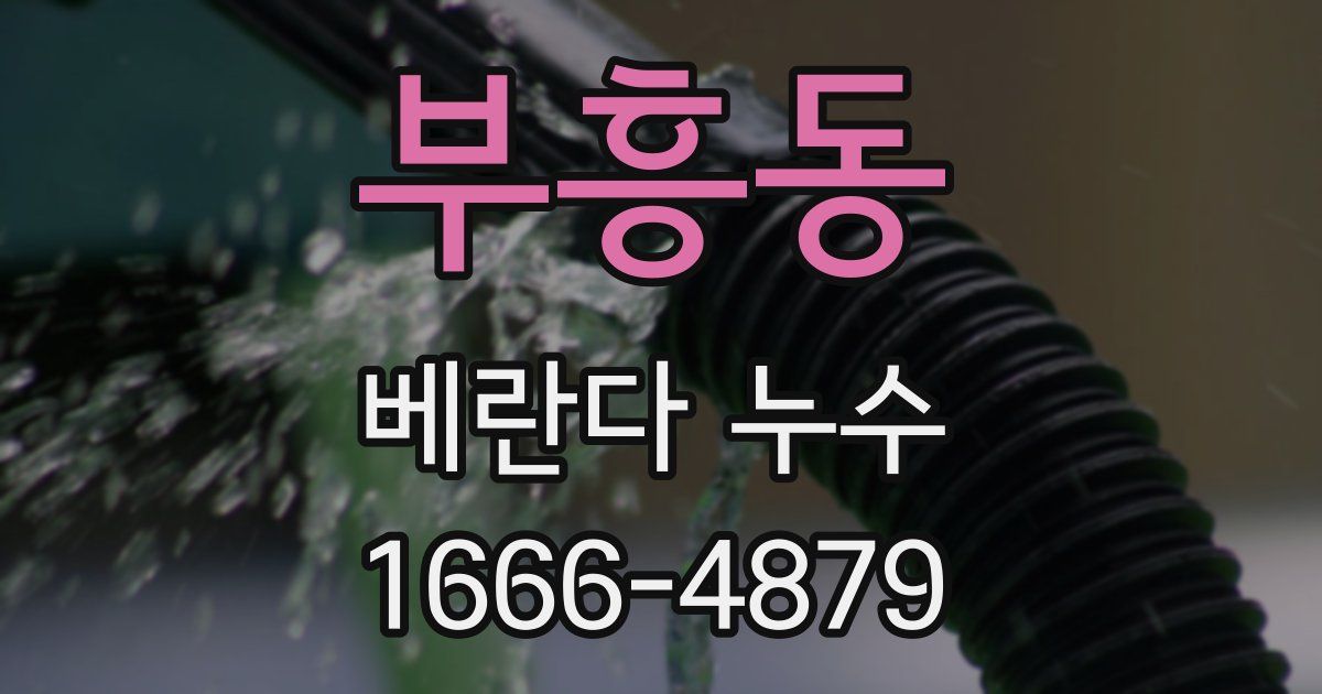 부흥동 베란다 누수