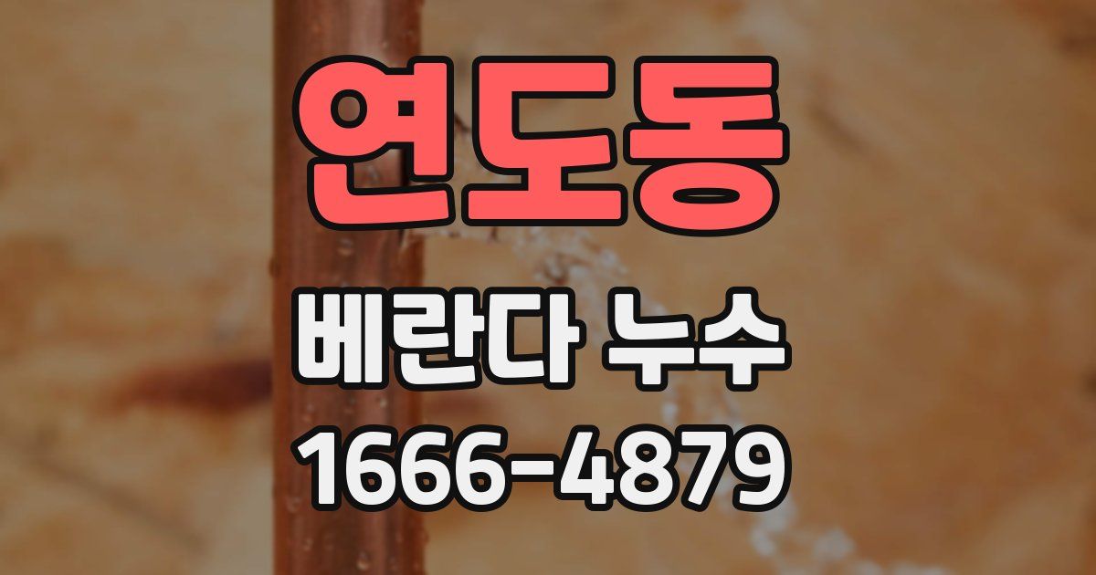연도동 베란다 누수