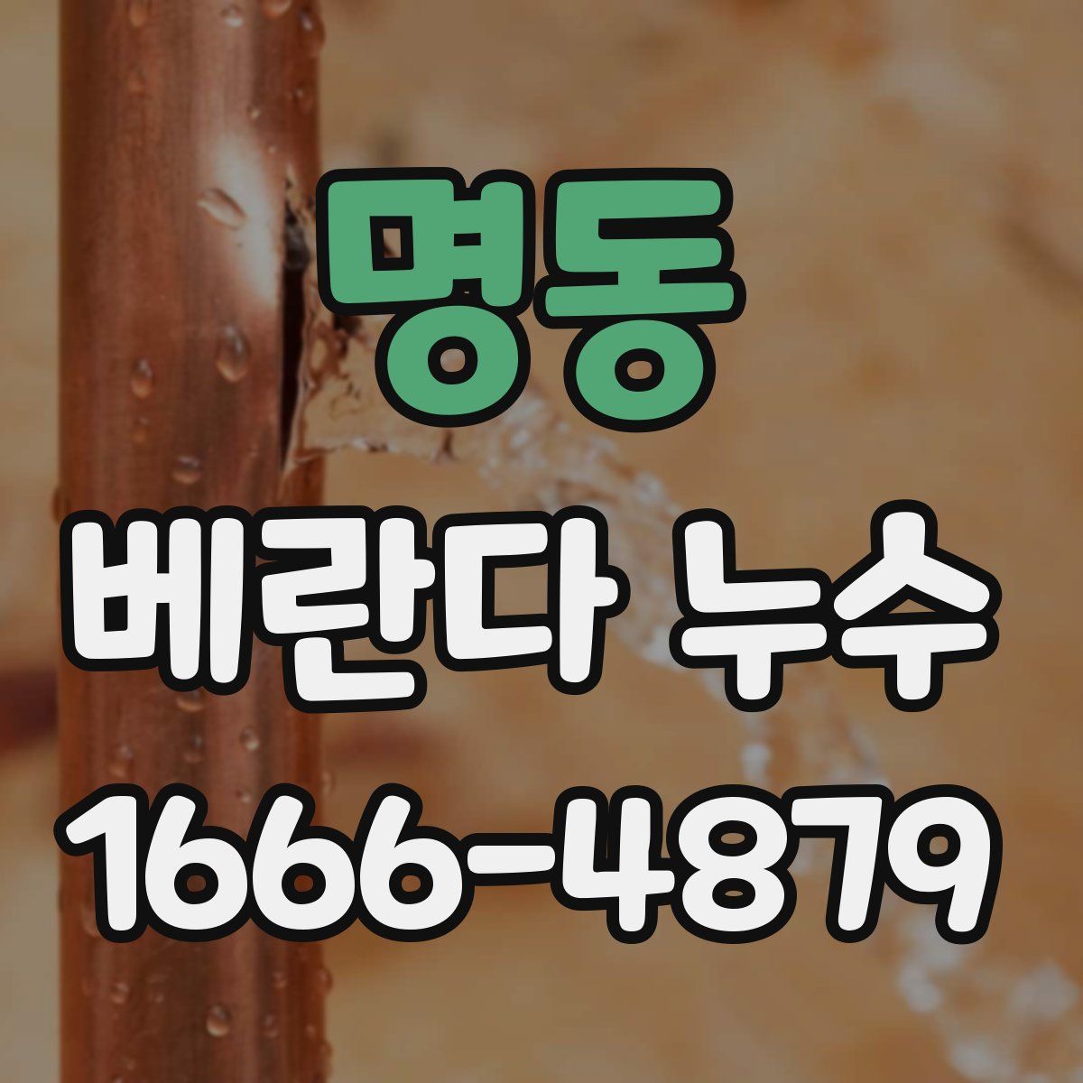 명동 베란다 누수