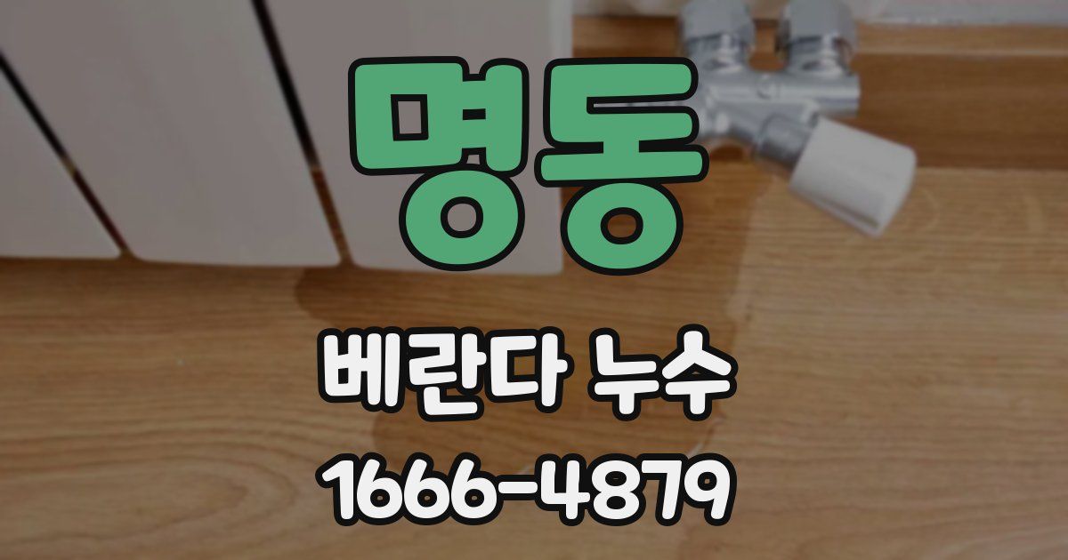 명동 베란다 누수