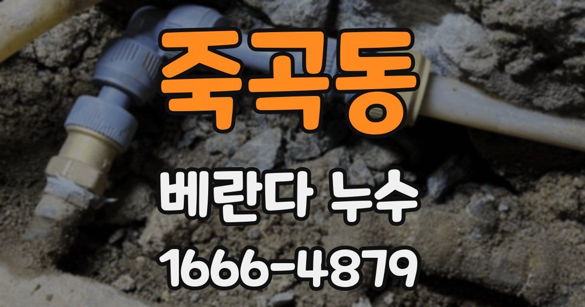 죽곡동 베란다 누수