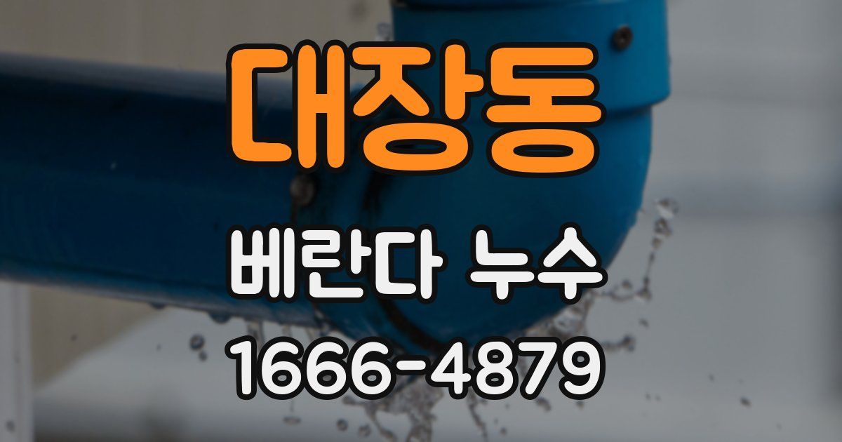대장동 베란다 누수