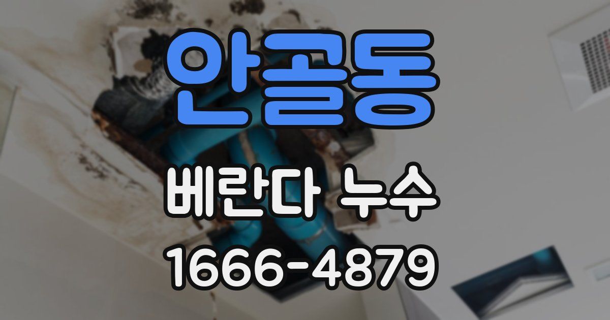 안골동 베란다 누수