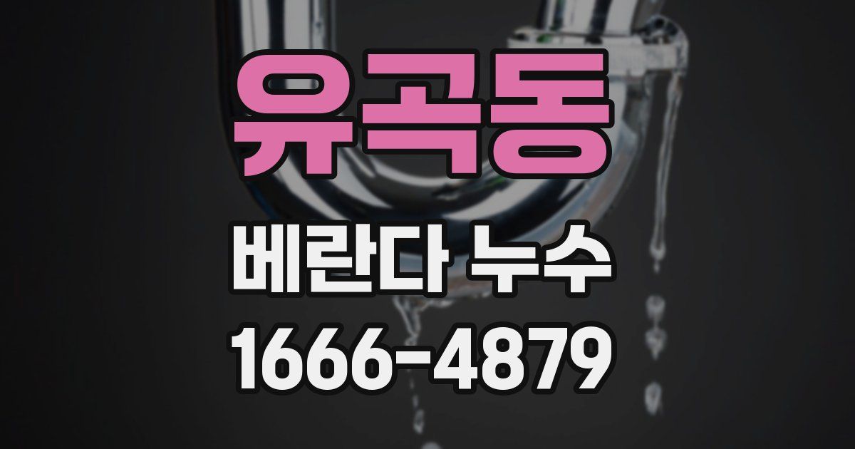 유곡동 베란다 누수