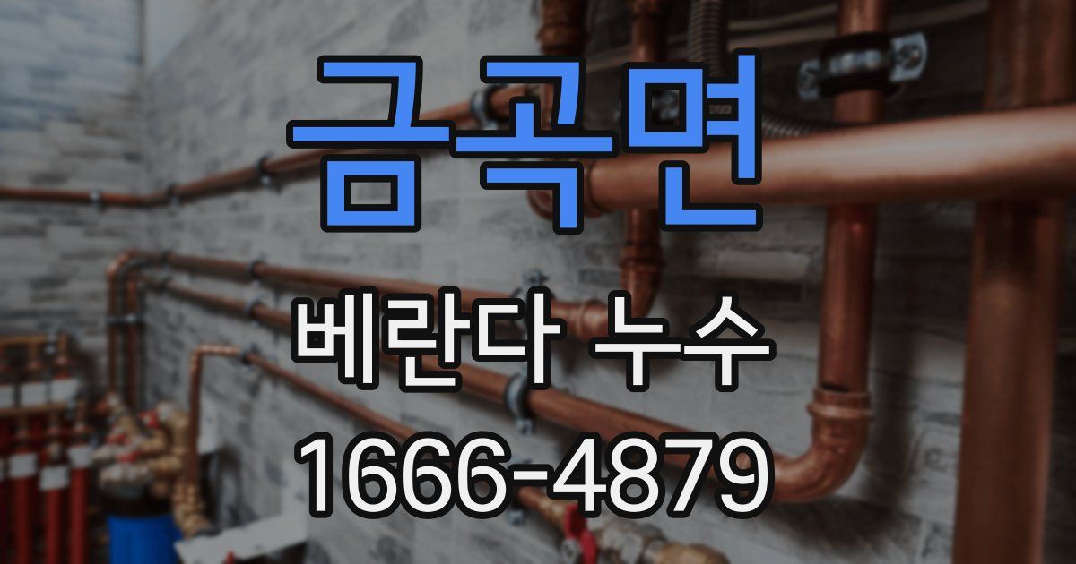 금곡면 베란다 누수