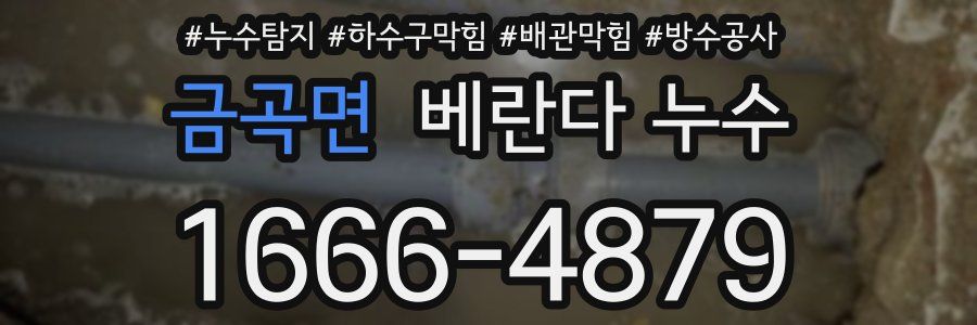 금곡면 베란다 누수