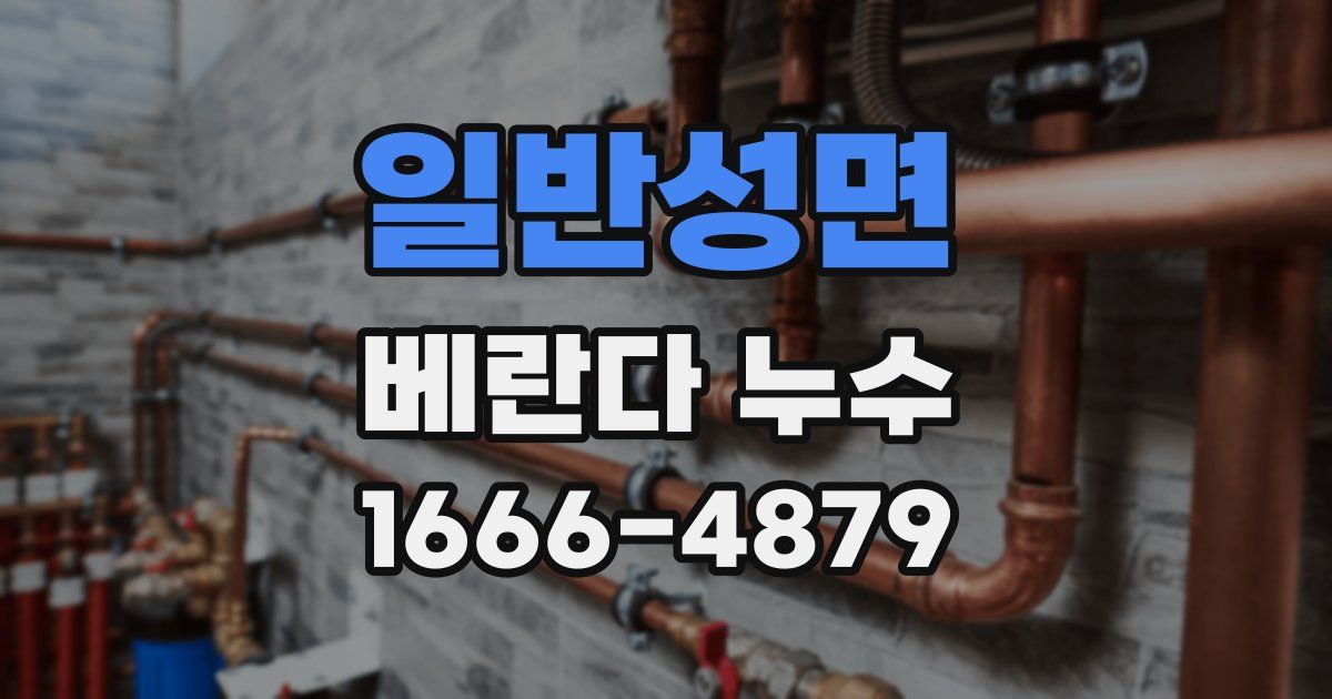 일반성면 베란다 누수