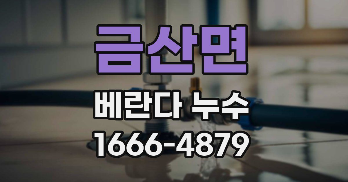 금산면 베란다 누수