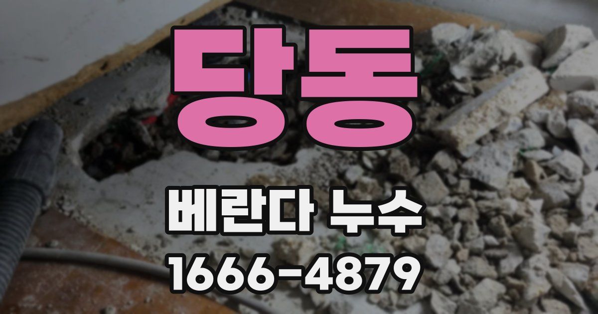 당동 베란다 누수