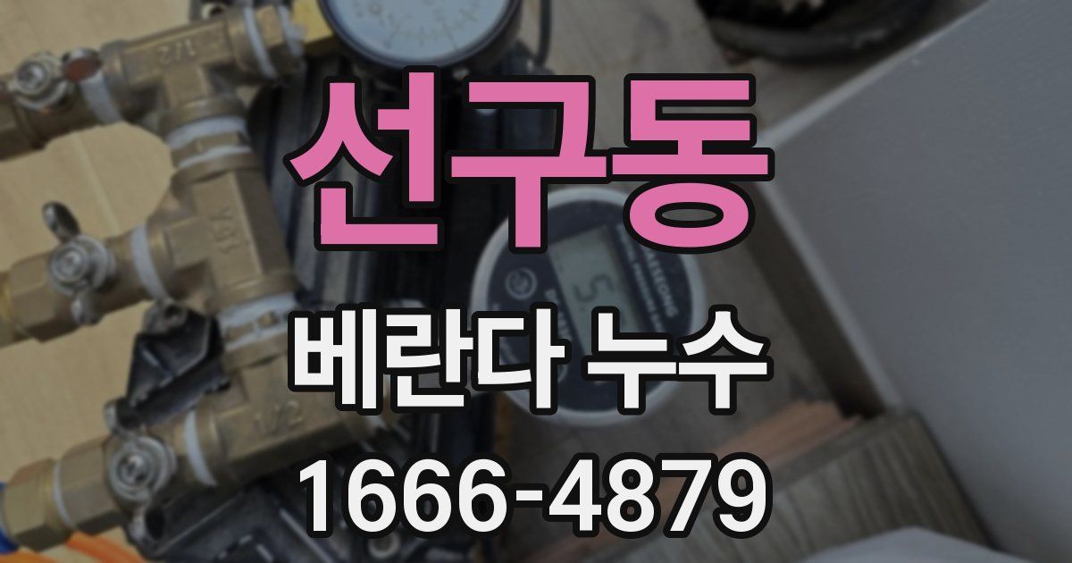 선구동 베란다 누수